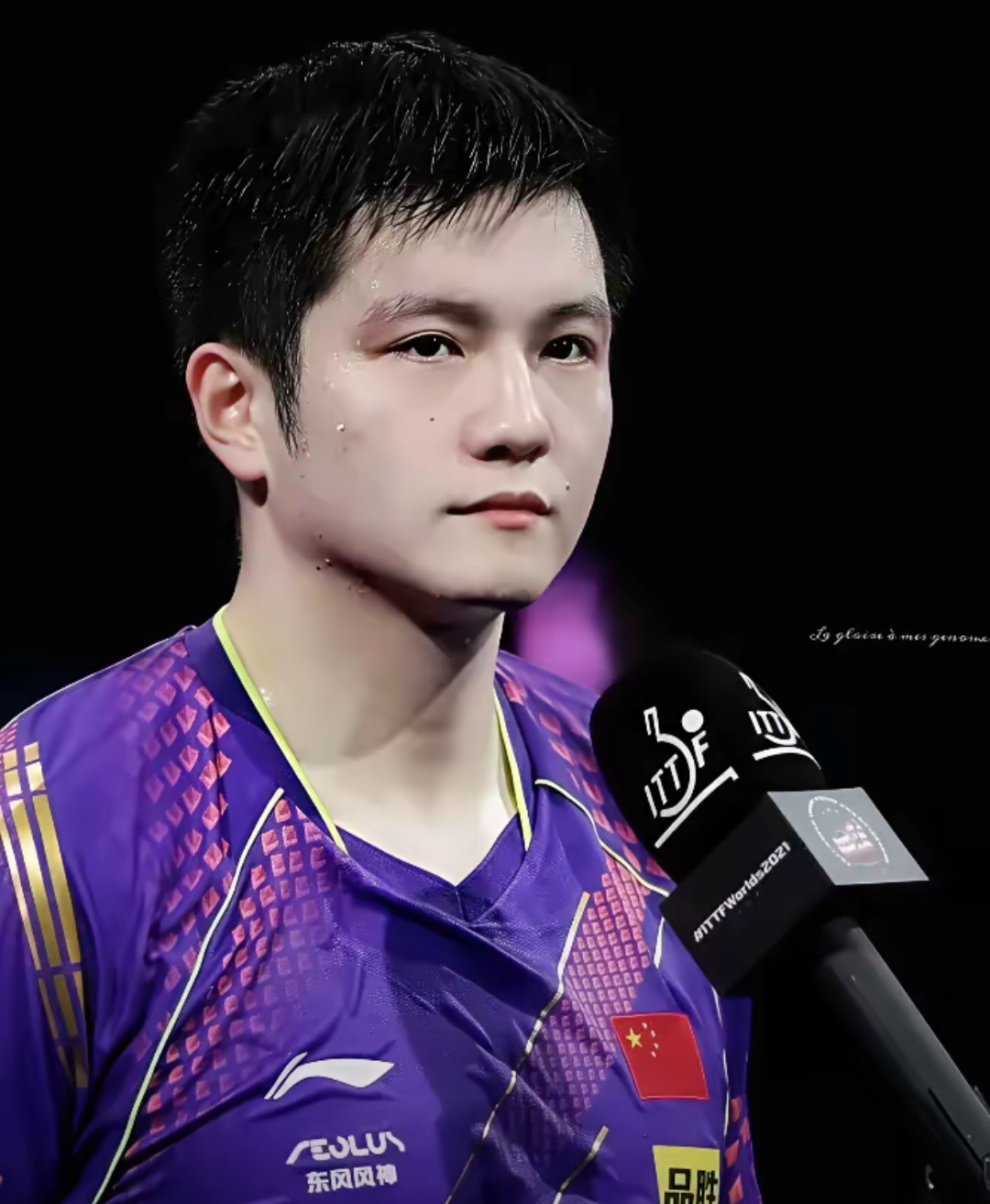 包含中国队险胜法国队,樊振东刷新纪录的词条 包含中国队险胜法国队,樊振东刷新纪录的词条