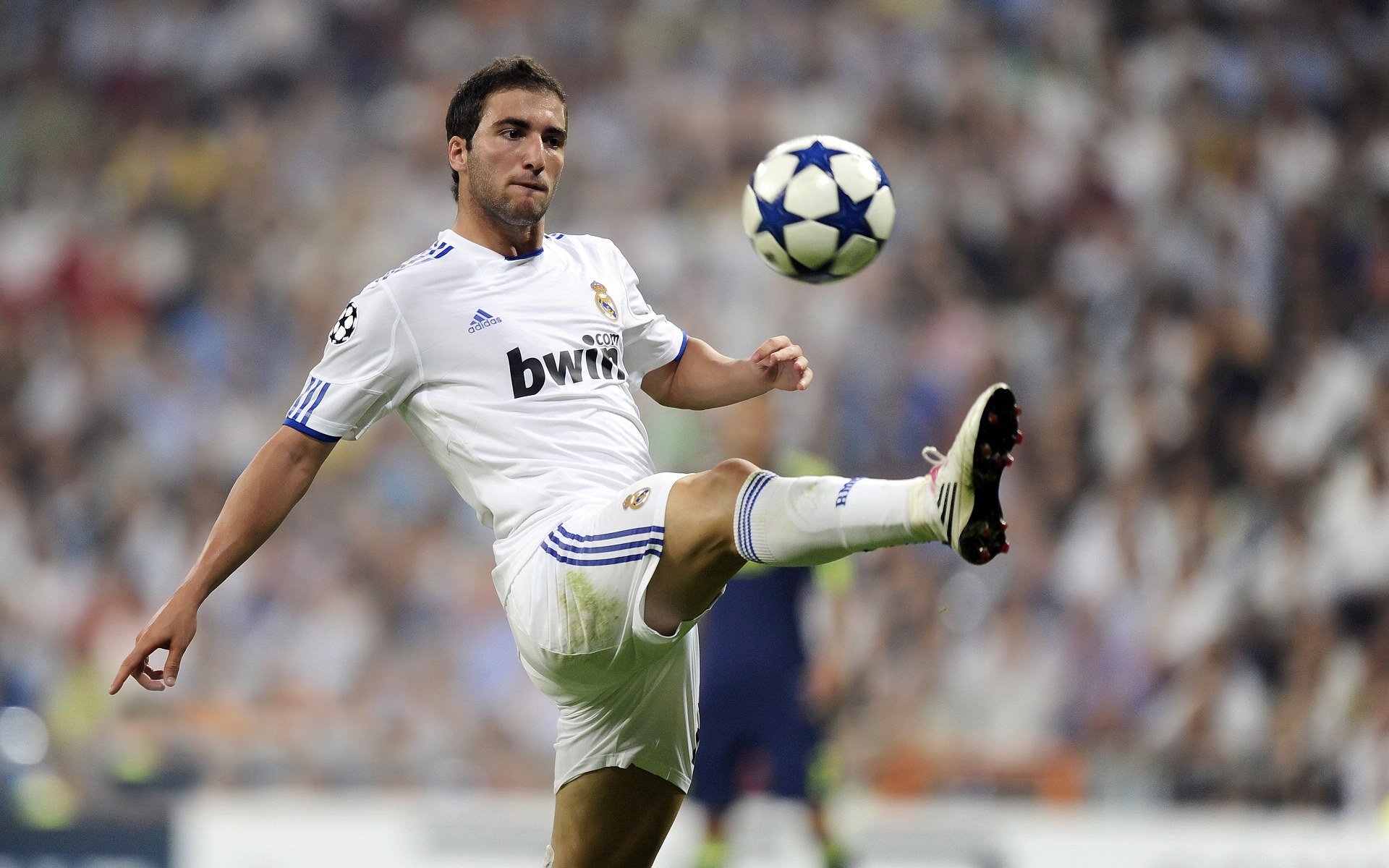 武切维奇,当广东精神遇上芝加哥公牛,他成了最特殊的异乡人